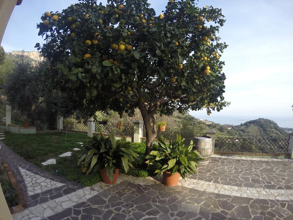 Appartamenti Con Vista Panoramica Santa Maria Navarrese Exterior photo